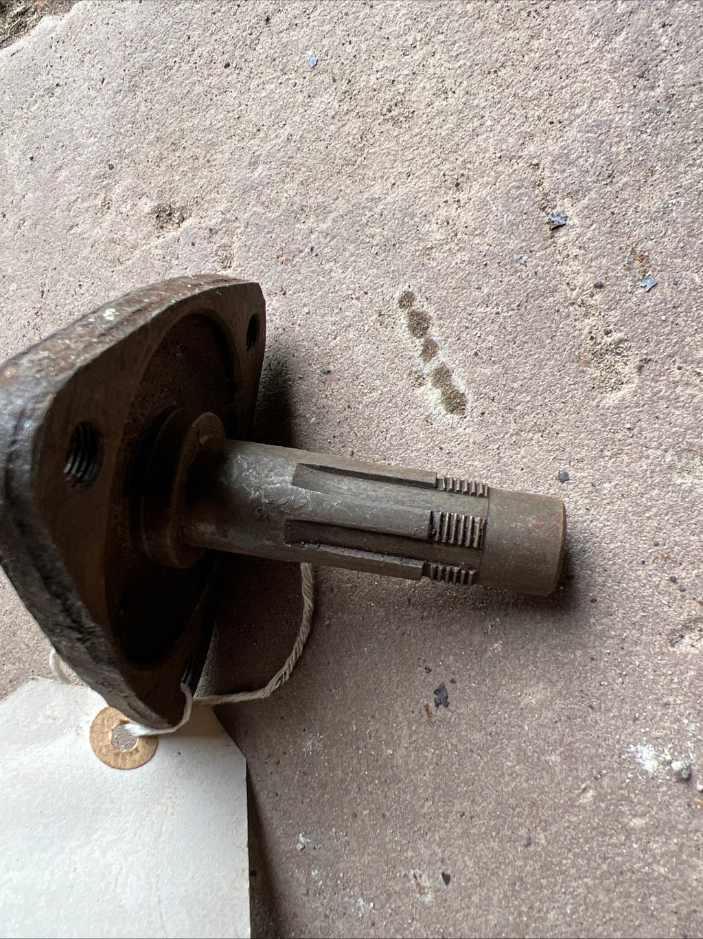 Triumph Tina rear wheel drive shaft NOS