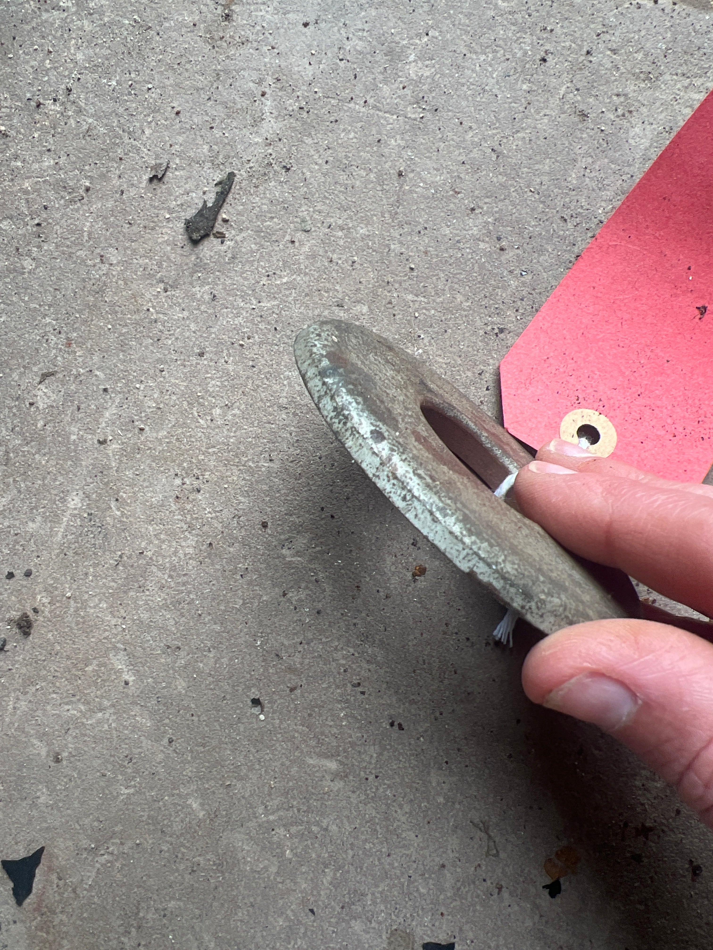 Triumph Tigress BSA Sunbeam Fork top bearing cone NOS