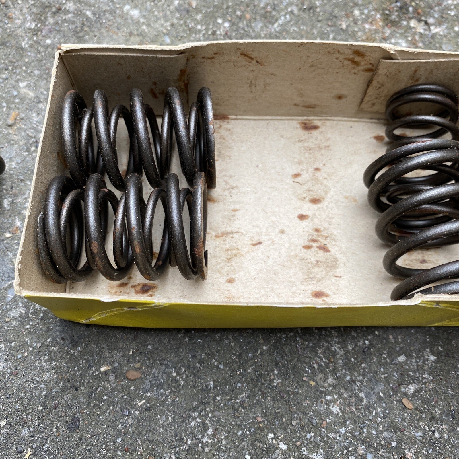 Triumph 6T T110 1961 Valve Spring Set Motorcycle Triumph 6T T110 1961