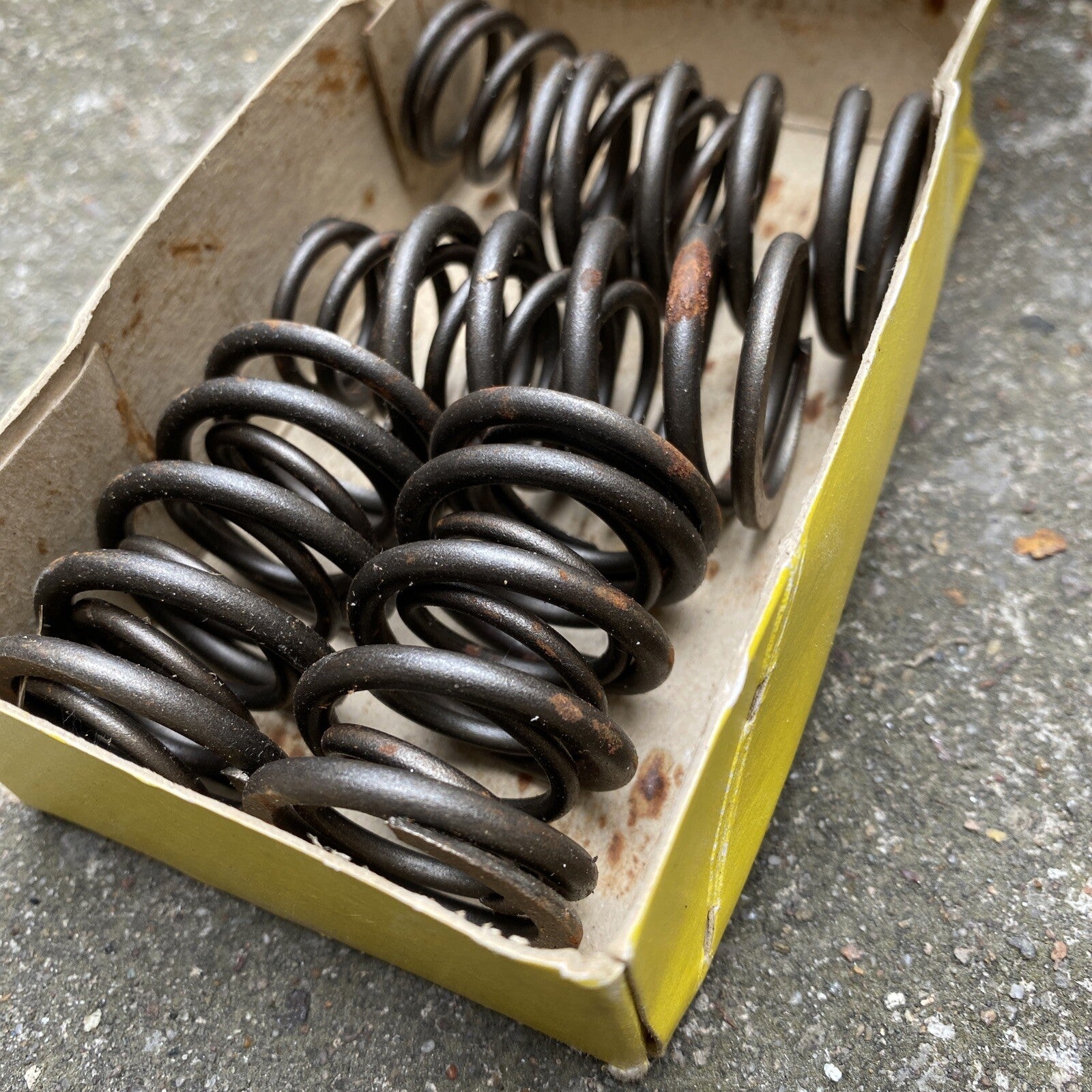 Triumph 6T T110 1961 Valve Spring Set Motorcycle Triumph 6T T110 1961