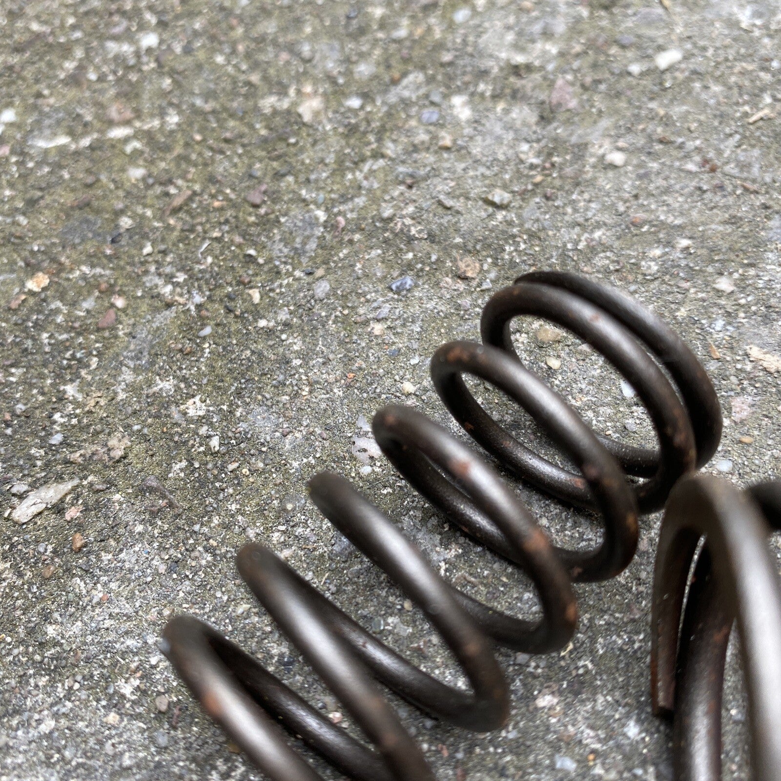 Triumph 6T T110 1961 Valve Spring Set Motorcycle Triumph 6T T110 1961