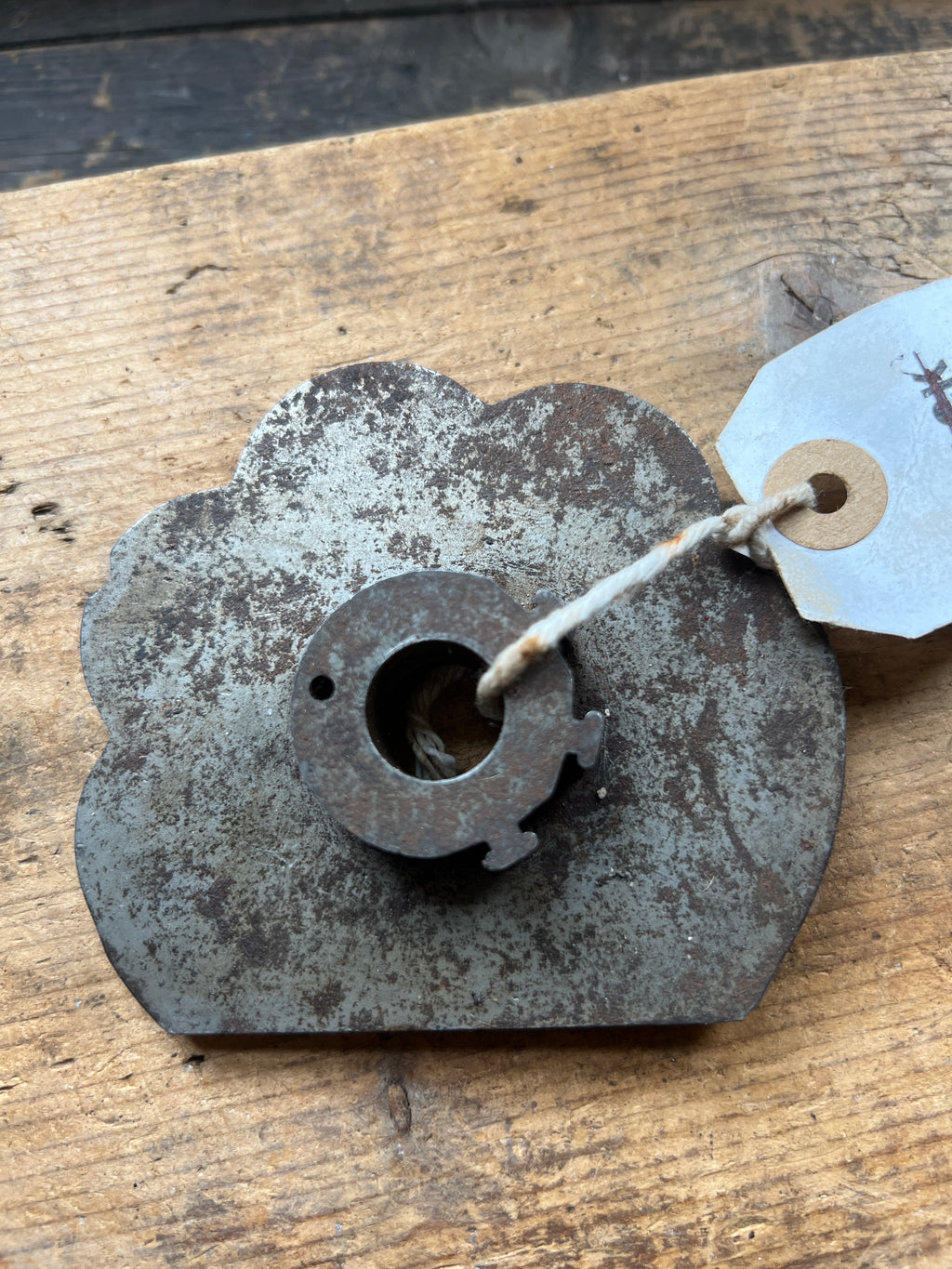 BSA A7/10 rigid and plunger gearbox cam plate  67-3113
