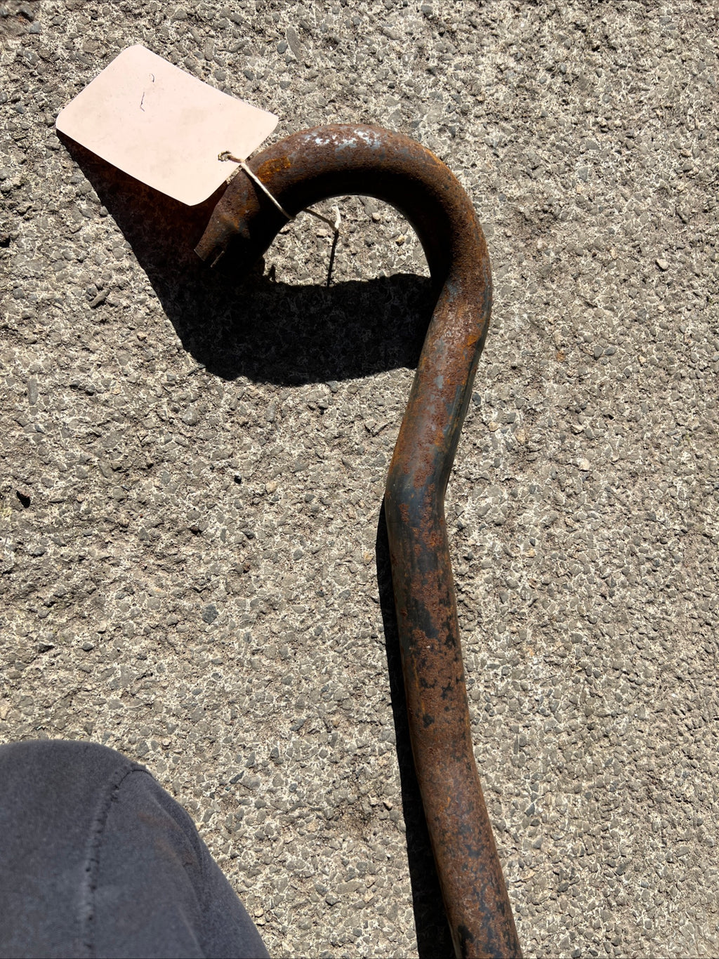Triumph Tiger Cub high level trials exhaust pipe T66 outside frame