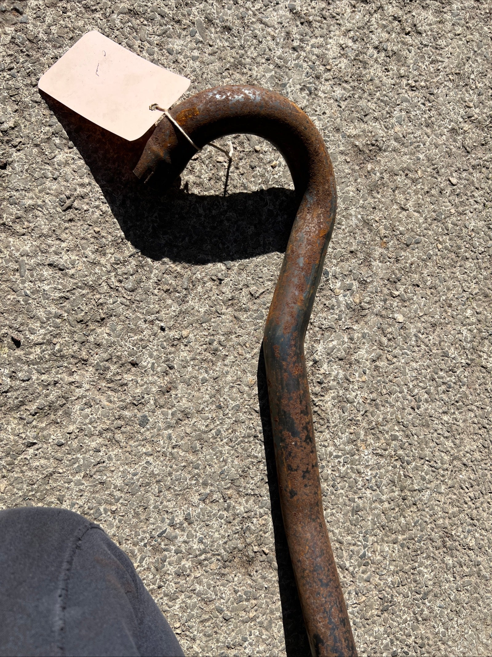 Triumph Tiger Cub high level trials exhaust pipe T66 outside frame