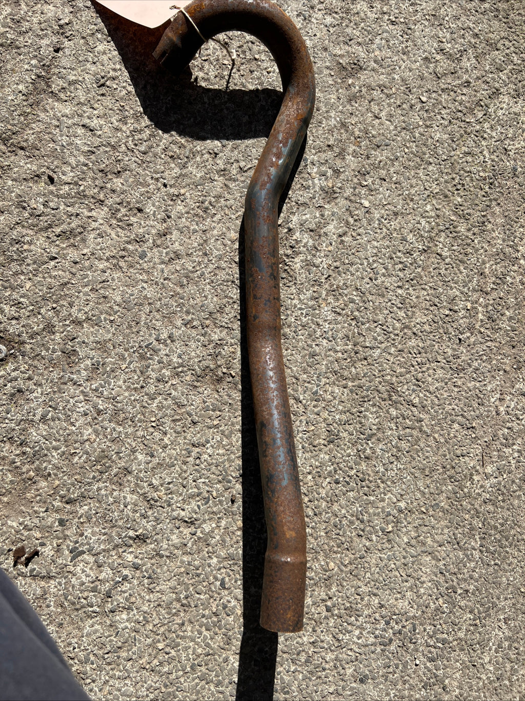 Triumph Tiger Cub high level trials exhaust pipe T66 outside frame