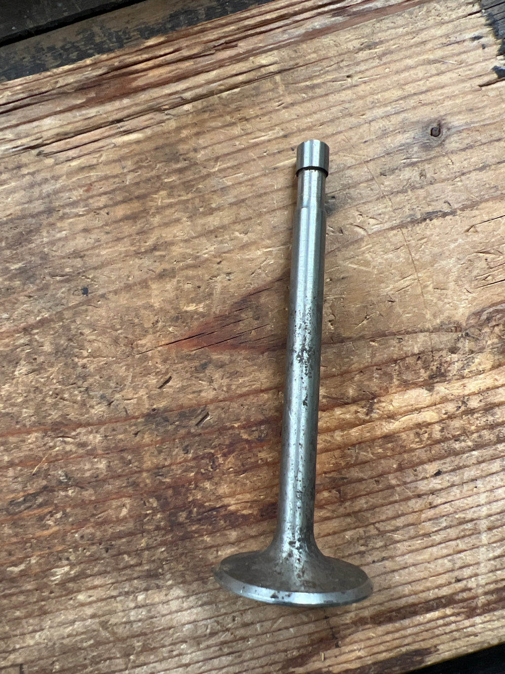 Triumph 5T TR5 Tiger 100 Inlet & Exhaust valve E1956 V14 NOS