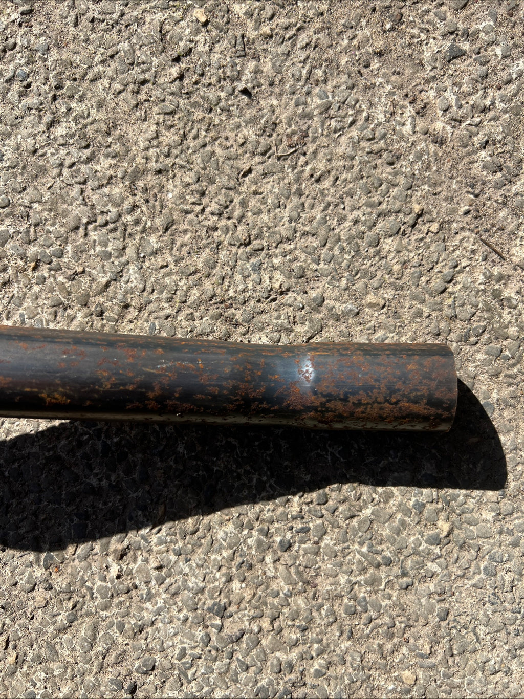 Triumph Tiger Cub high level trials exhaust pipe T66 outside frame