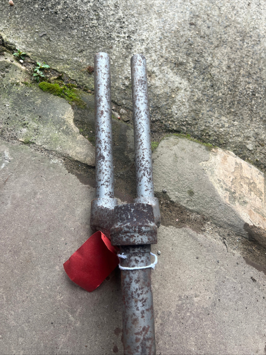 Triumph Tigress BSA sunbeam 76-5042 Front fork NOS