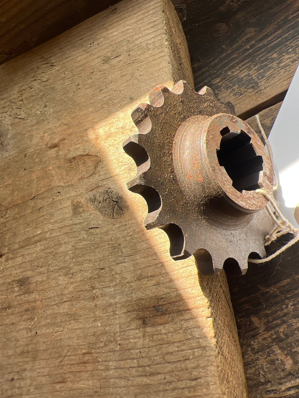 BSA C11G C12 17 Tooth std engine sprocket 42-89