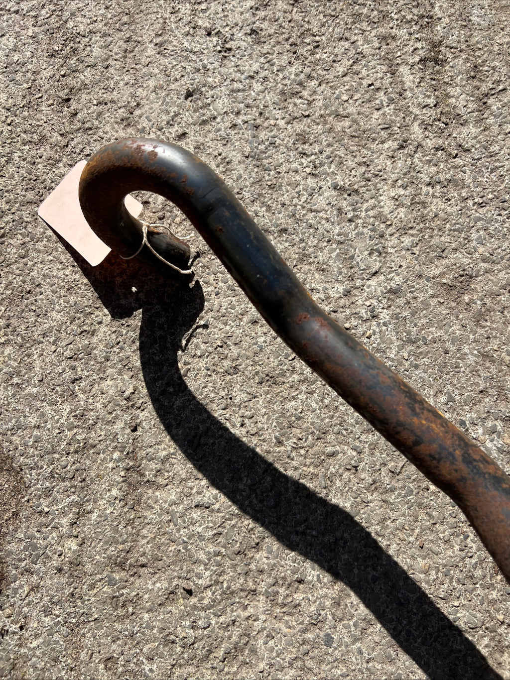 Triumph Tiger Cub high level trials exhaust pipe T66 outside frame