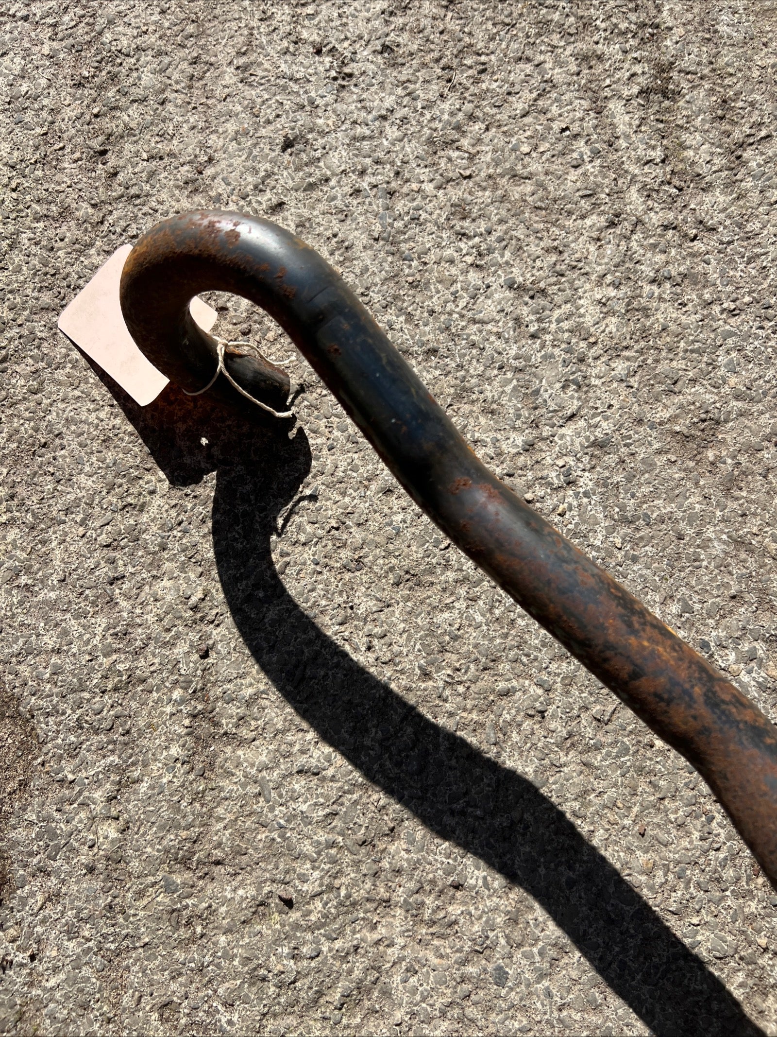 Triumph Tiger Cub high level trials exhaust pipe T66 outside frame